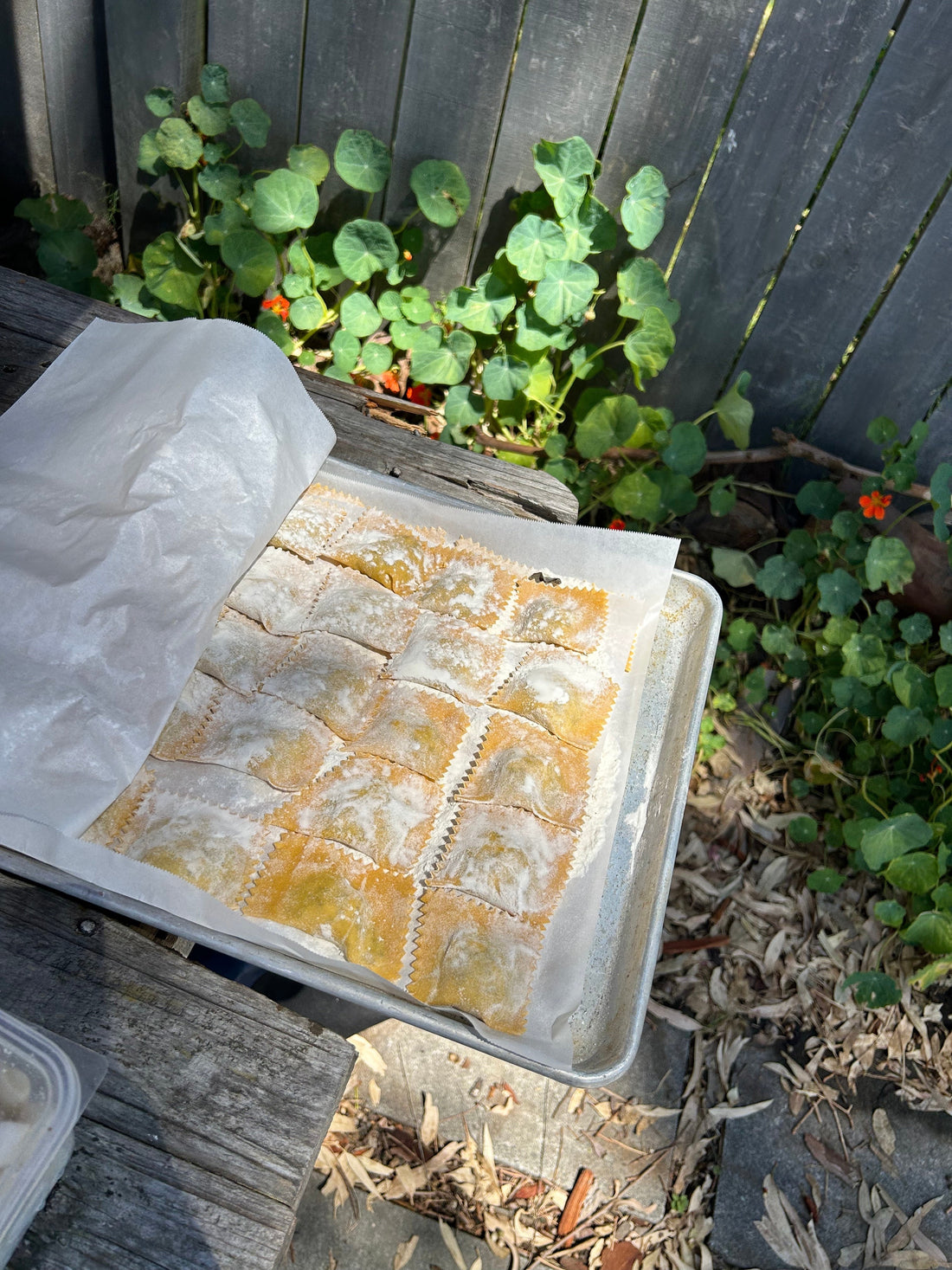 Italian food meets natural wines in Martinborough