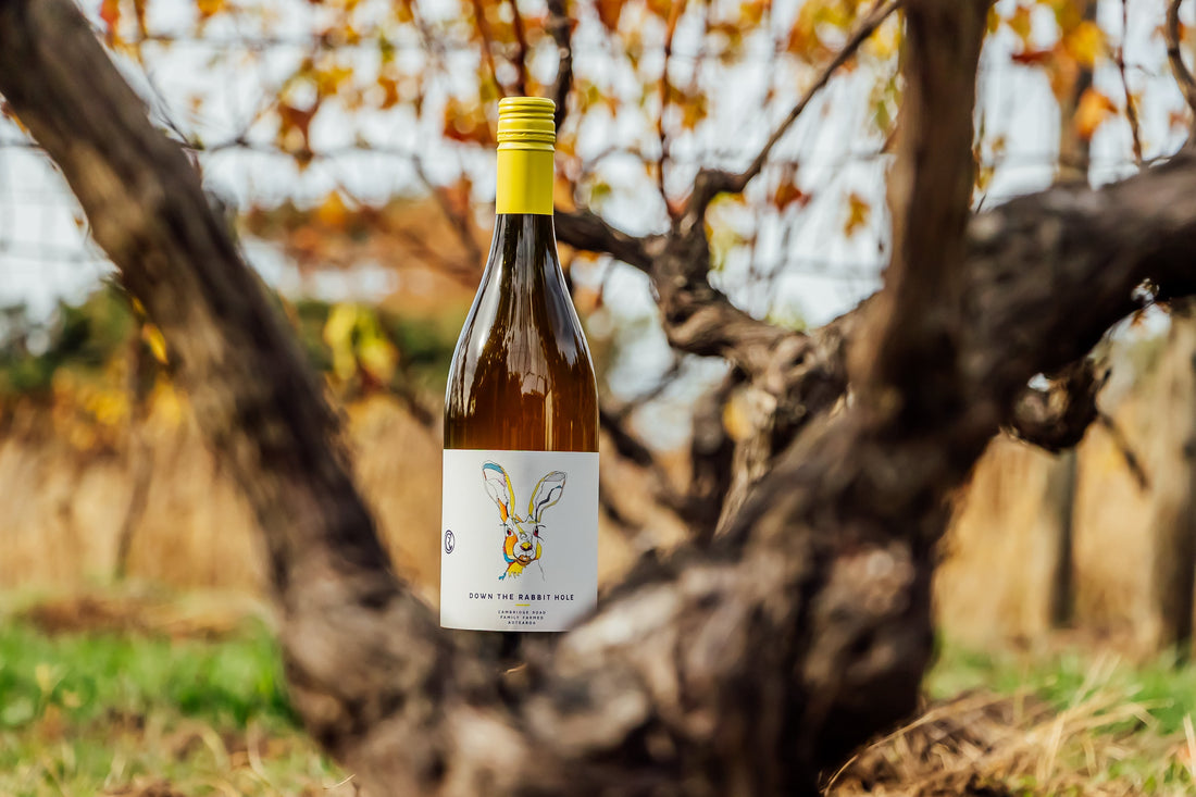 Weekend at Cambridge Road: Fresh Oysters, Italian Cuisine & Local Wines