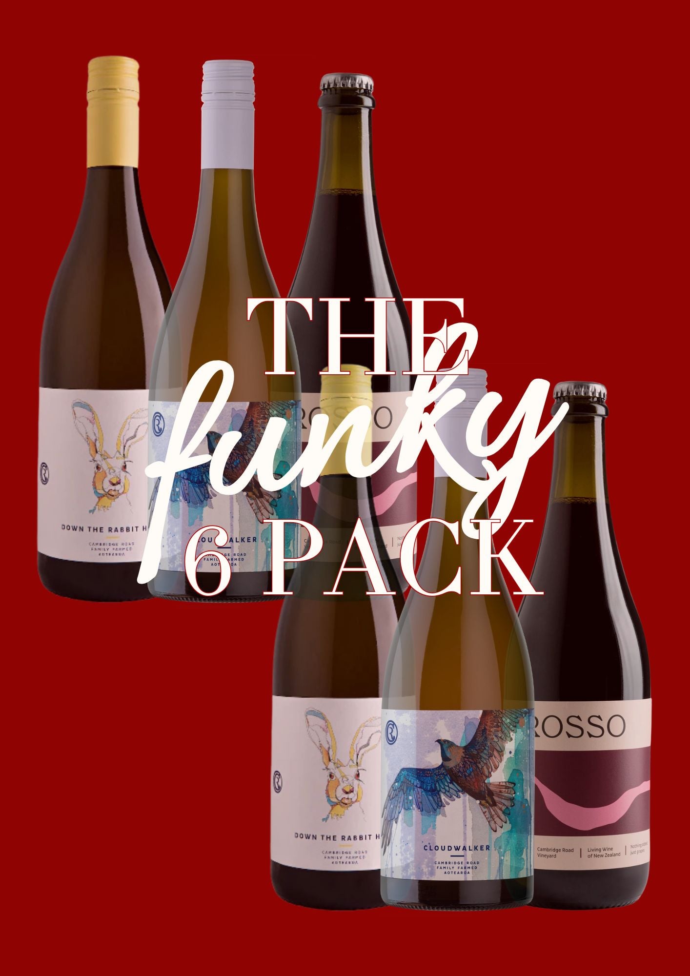 Christmas Funky 6 Pack